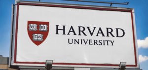 Read more about the article Harvard Appoints Kuwaiti Nadia Al-Zaabout as First MENA Regional Director