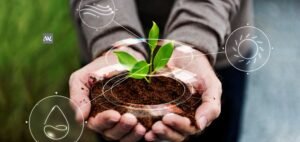 Read more about the article Unlocking Innovation: Innovations in Middle East Agriculture for Sustainable Growth